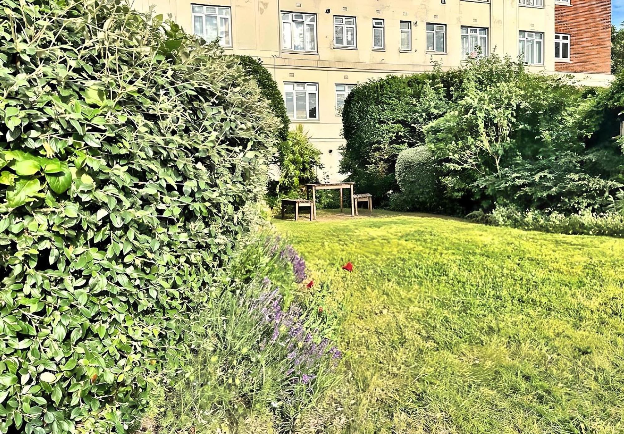 Brixton Hill Retreat Modern And Cosy Apartment London Luaran gambar
