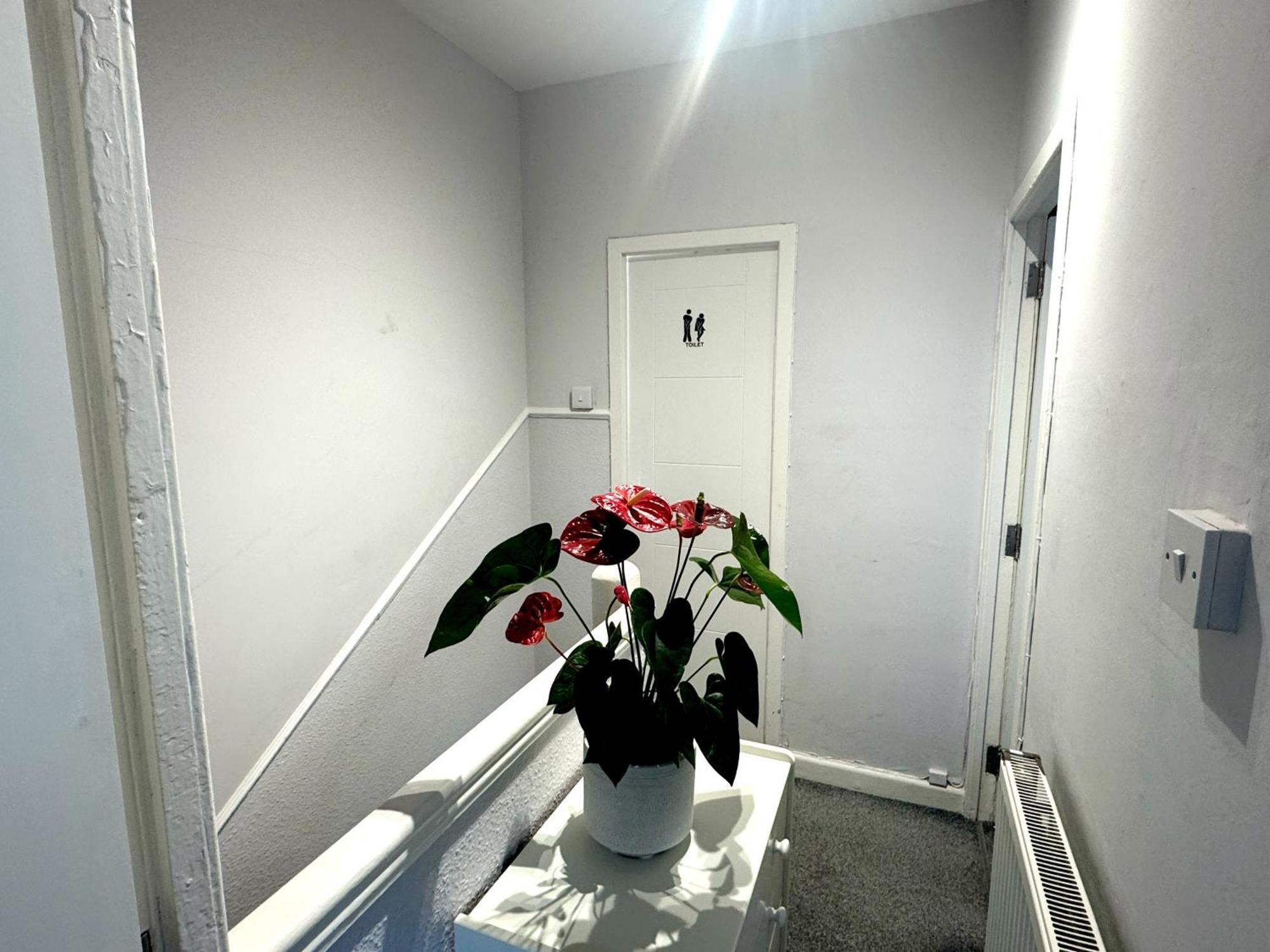 Brixton Hill Retreat Modern And Cosy Apartment London Luaran gambar